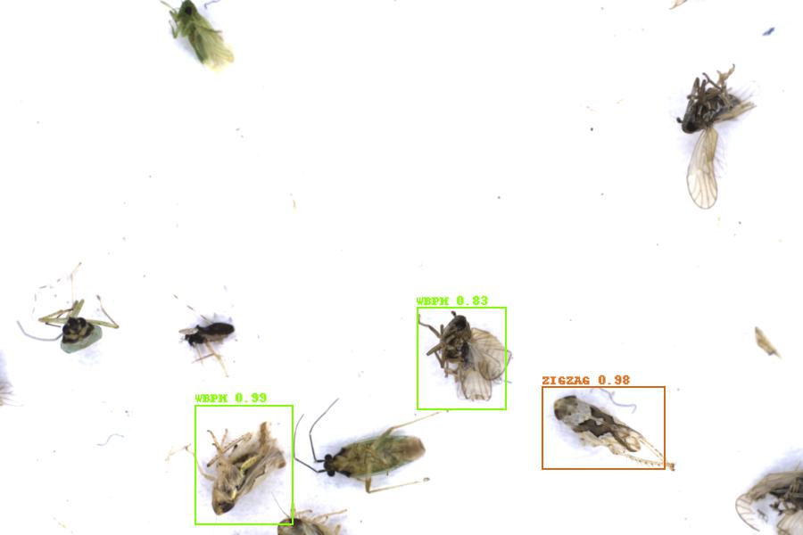 Image 22